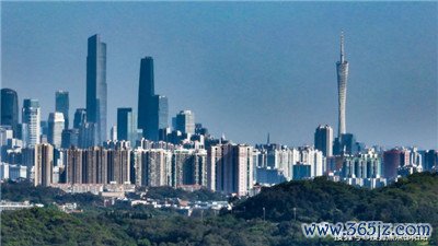深圳高级资源预约群：尊享独特优质服务